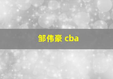 邹伟豪 cba